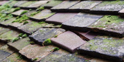 Gaerllwyd roof repair costs